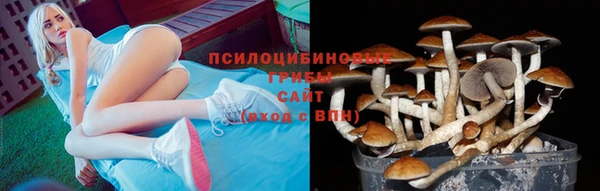 прущая мука Алексеевка