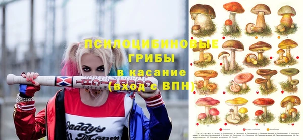 хмурый Абаза