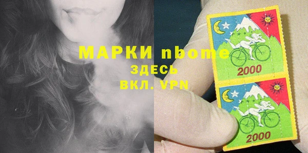 хмурый Абаза