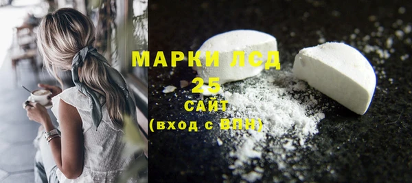 хмурый Абаза