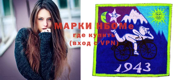 хмурый Абаза